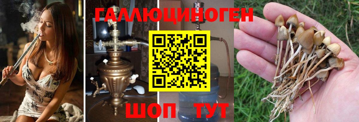 Галлюциногенные грибы Magic Shrooms Воронеж
