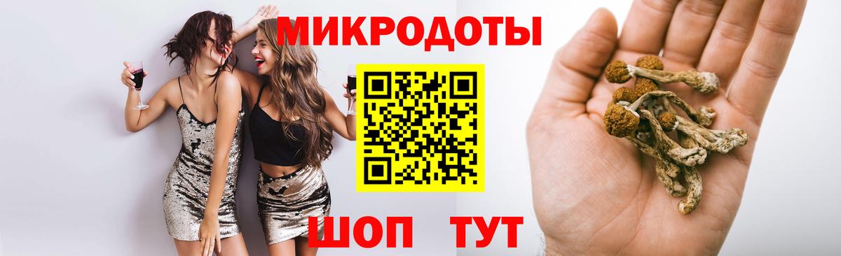 Псилоцибиновые грибы мухоморы  Галлюциногенные грибы мухоморы  купить  цена  Вход с VPN  Воронеж 